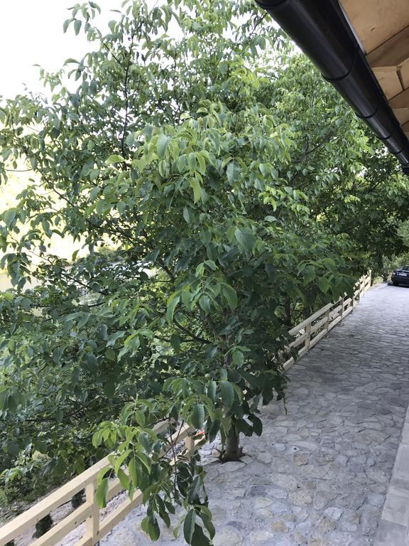 6 New River View Apartments Bihac Exterior photo